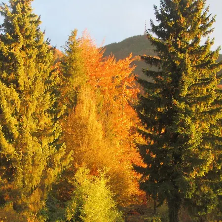 Apartment Appartement-heuberg