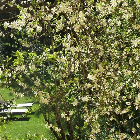 Appartement-heuberg Salisburgo